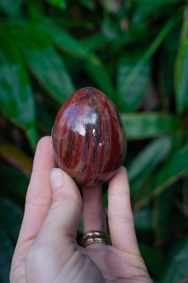 Petrified Wood Egg